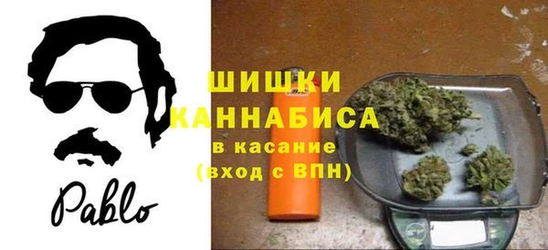 амф Белокуриха