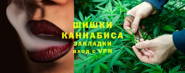 PSILOCYBIN Беломорск