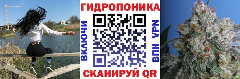 закладки  Бологое  МАРИХУАНА Ganja 